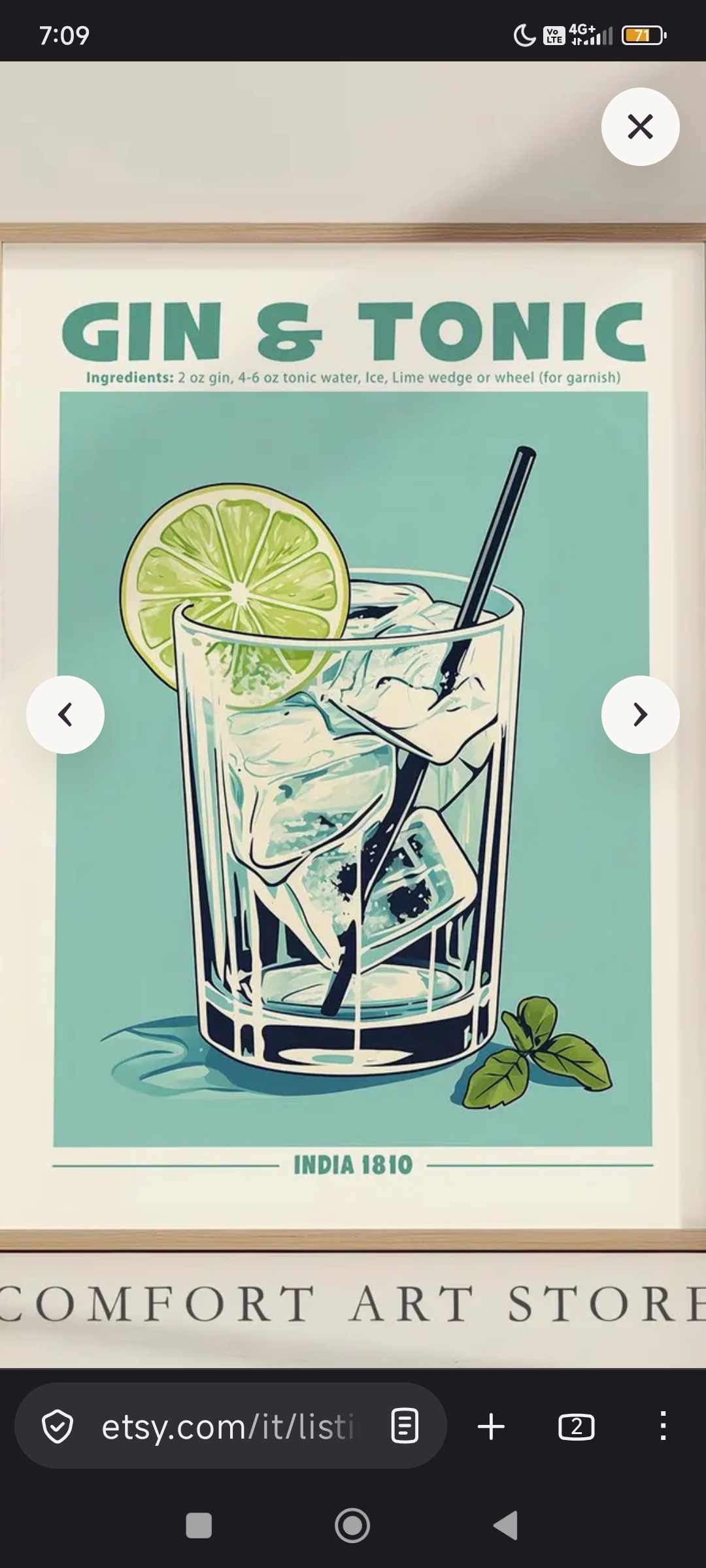 Gin Tonic ZERO Alcool 