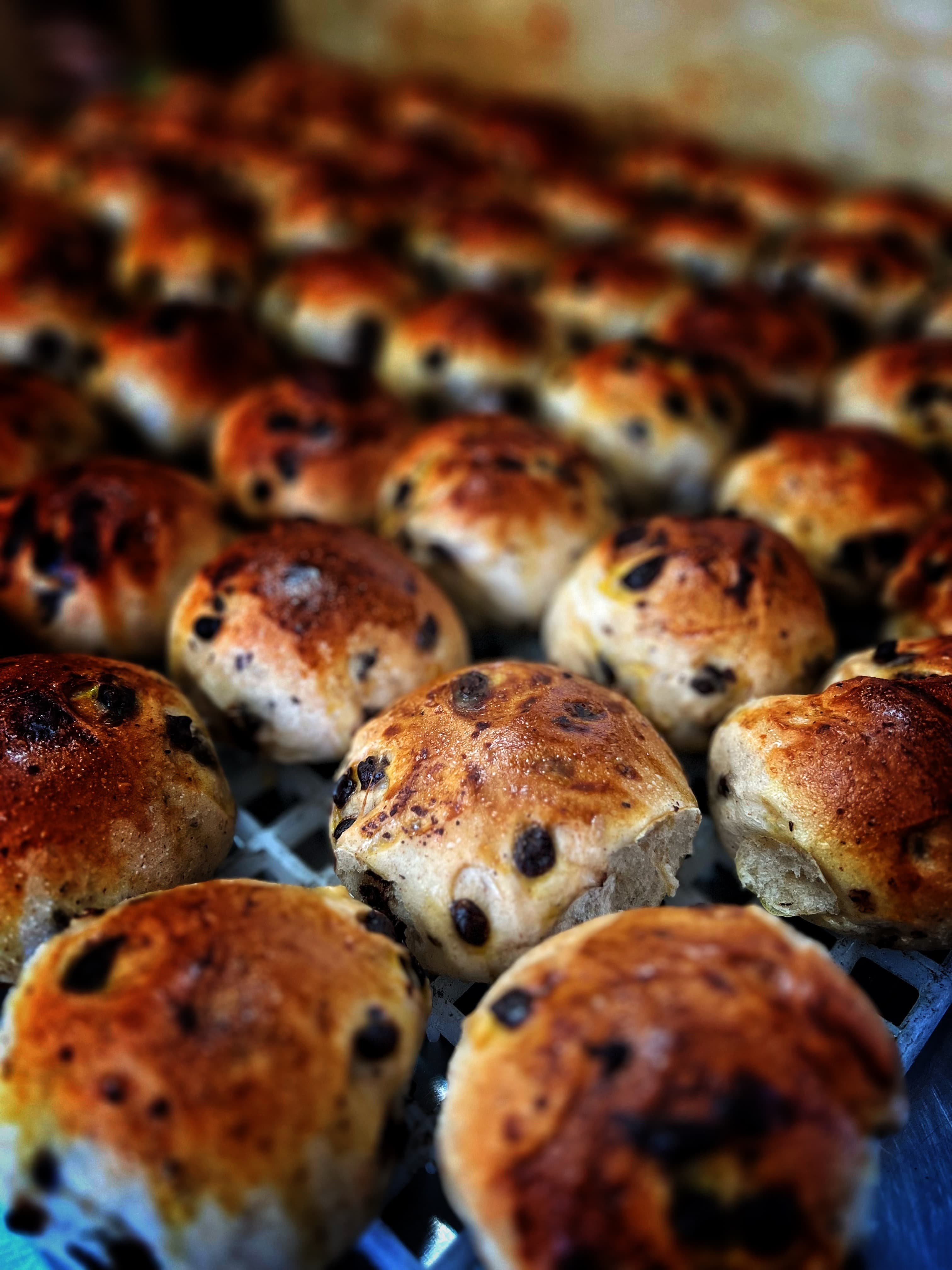 Pangoccioli